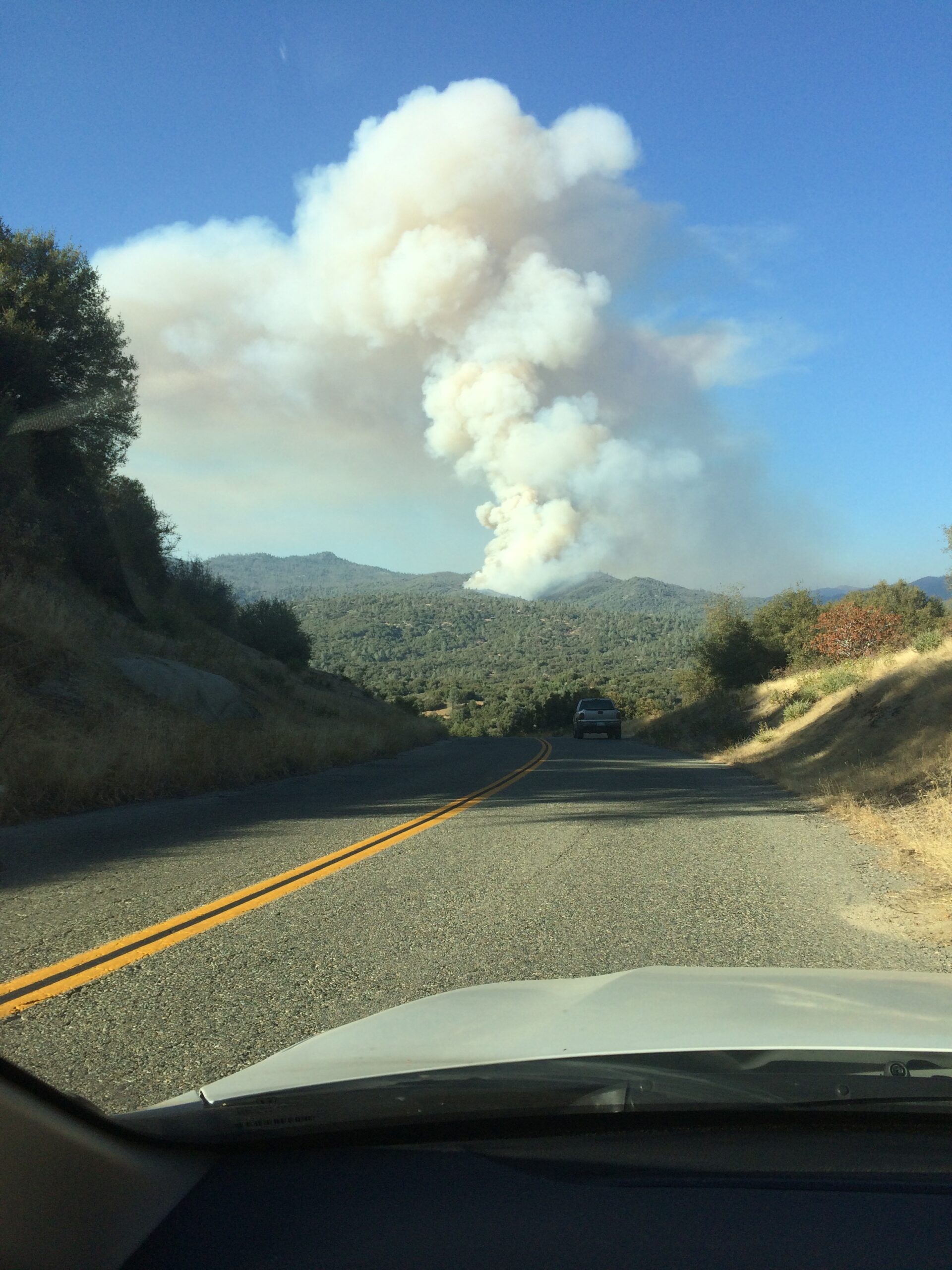 FireWise Blog